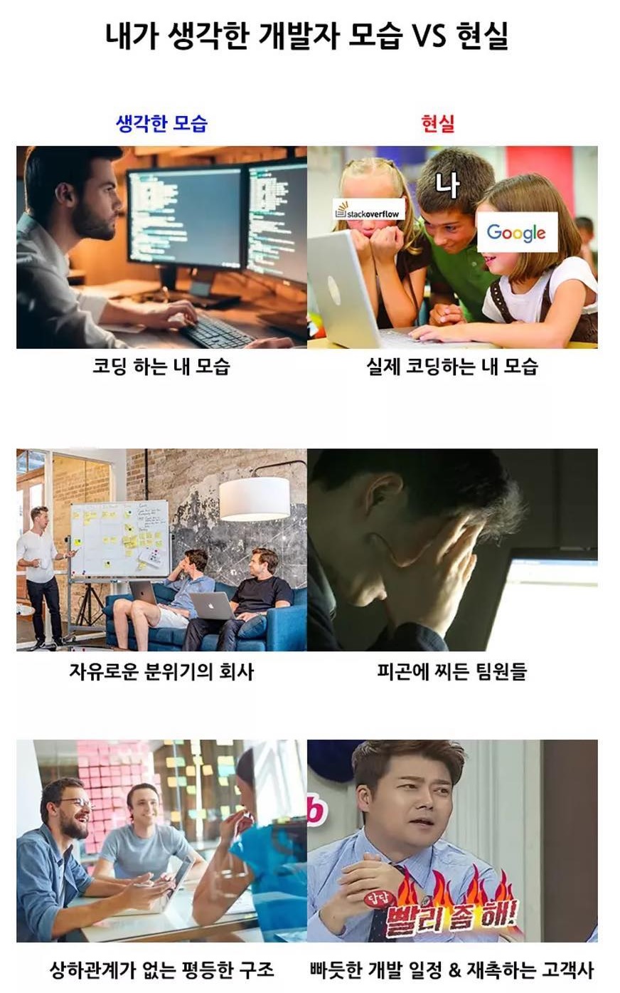 신입 개발자 취업 질문입니다. 조언 부탁 드립니다! | OKKY Q&A