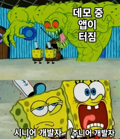 데모 시연 중에 앱이 터졌을때 시니어 vs 주니어 개발자 이미지 1
