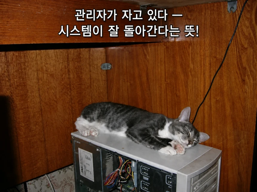 이미지 1